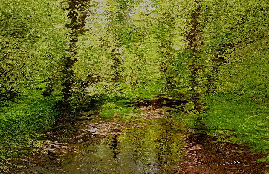 Woodland Stream Digital Art by Bob Shimer