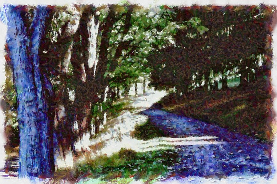 Woodland Walk Mixed Media by Christopher Reed