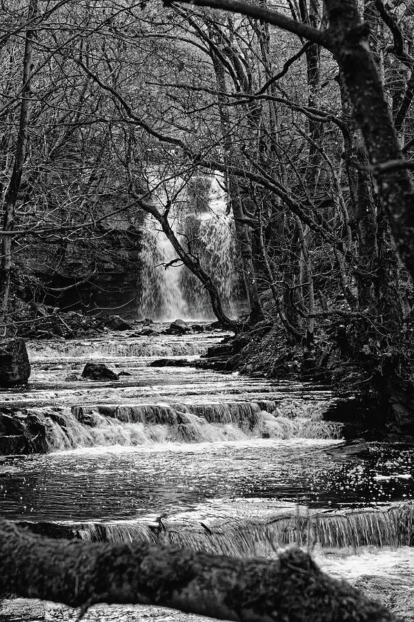 Woodland Waterfall Monochrome Photograph