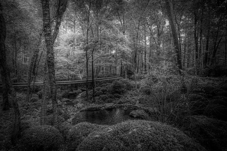Woodlands Stone Bridge Black and White Photograph by Judy Vincent