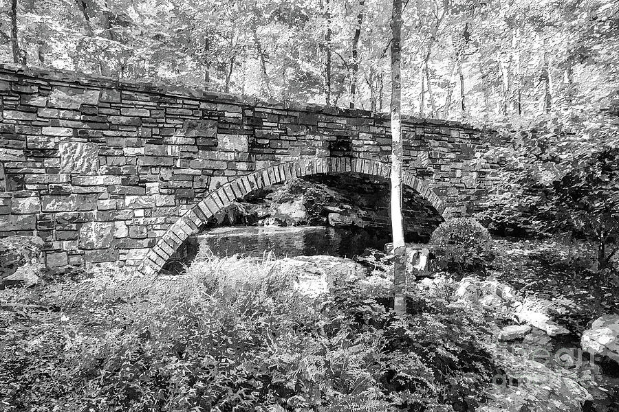 Woodlands Stone Bridge Grayscale Painterly Photograph by Jennifer White ...