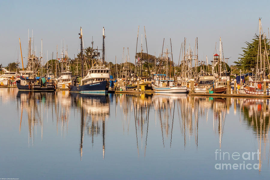 Woodley Island Marina Photograph by Mitch Shindelbower Fine Art America