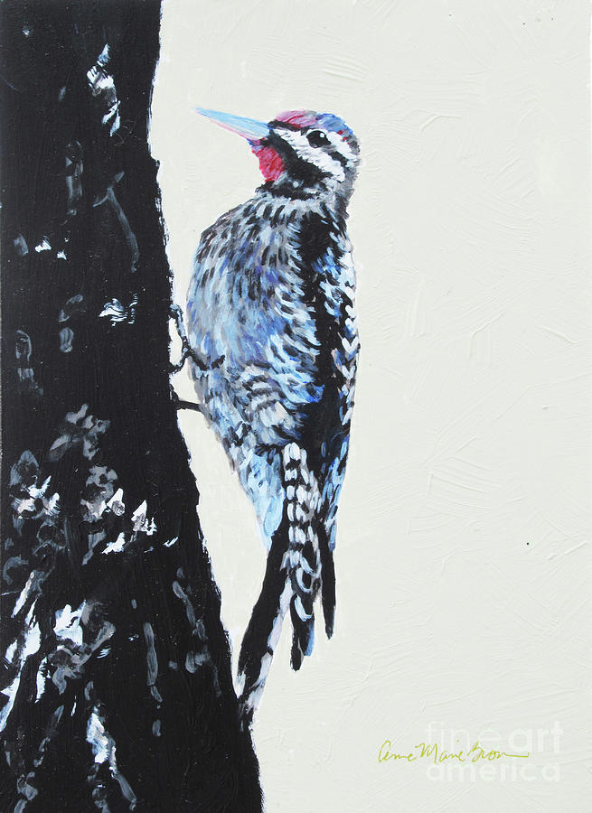 Woodpecker Painting by Anne Marie Brown