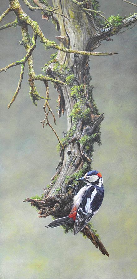 Woodpecker on branch Painting by Alan M Hunt