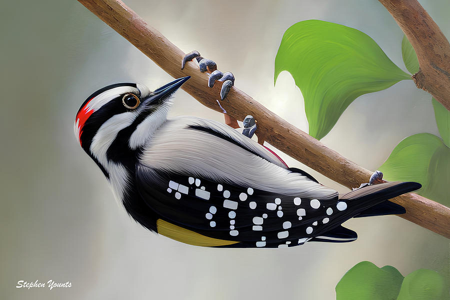 Woodpecker Digital Art by Stephen Younts