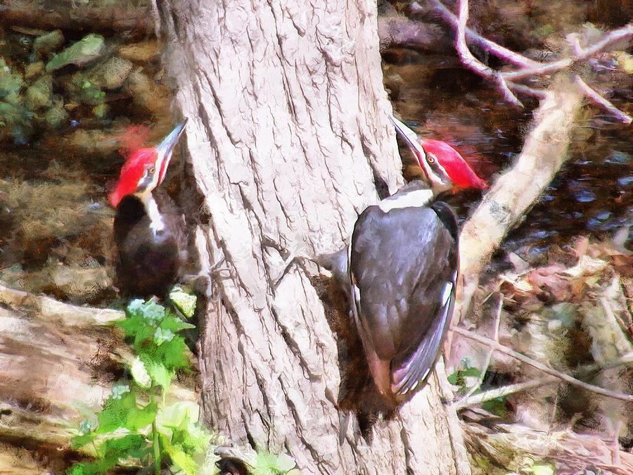 Woodpeckers by the Stream Mixed Media by Christopher Reed