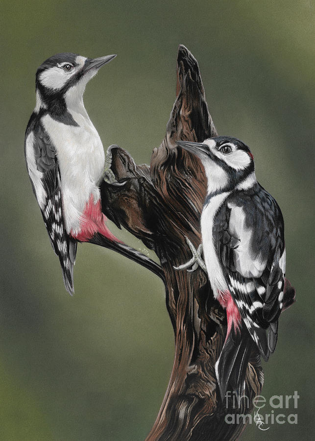 Woodpeckers Painting by Karie-ann Cooper