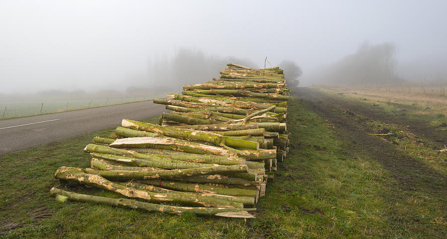 Woodpile near a forest in a foggy winter Photograph by Photonaj