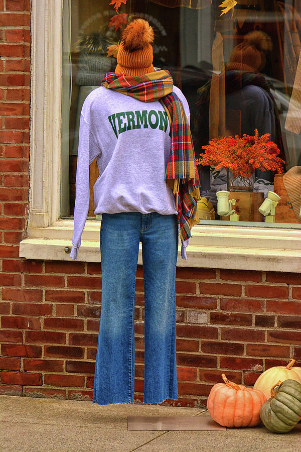 Fall Photograph - Woodstock Window Shopper by Mike Martin