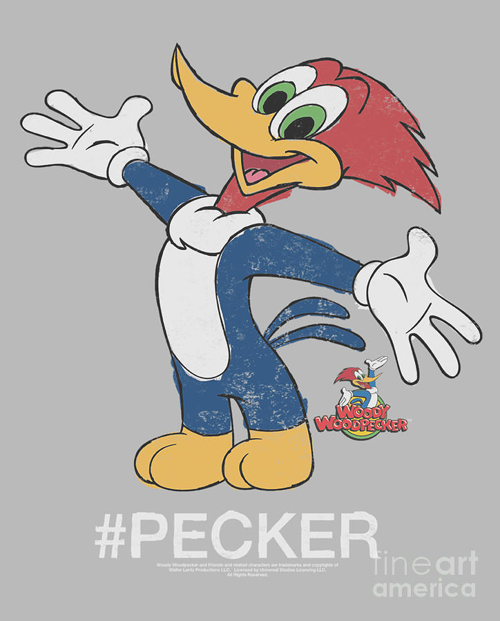 Woody Woodpecker Cartoon Hashtag Woody Digital Art by Thelma Mackellar -  Pixels
