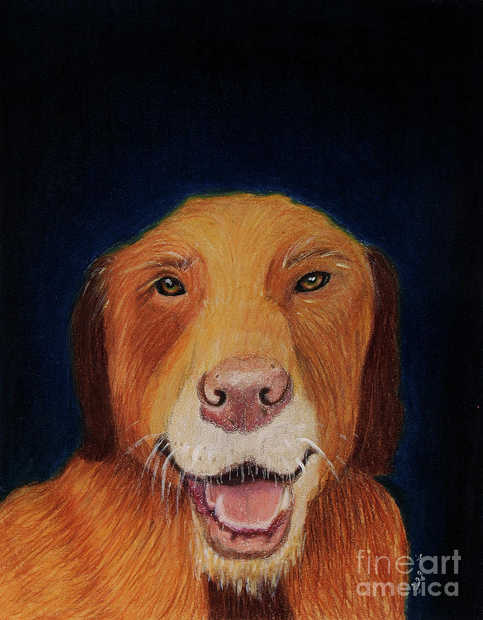 Woof Painting by Dorothy Lee