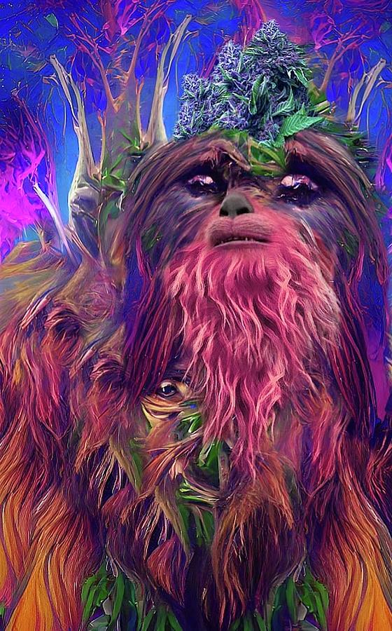 Wookie OG Digital Art by Tamara Ellner - Fine Art America