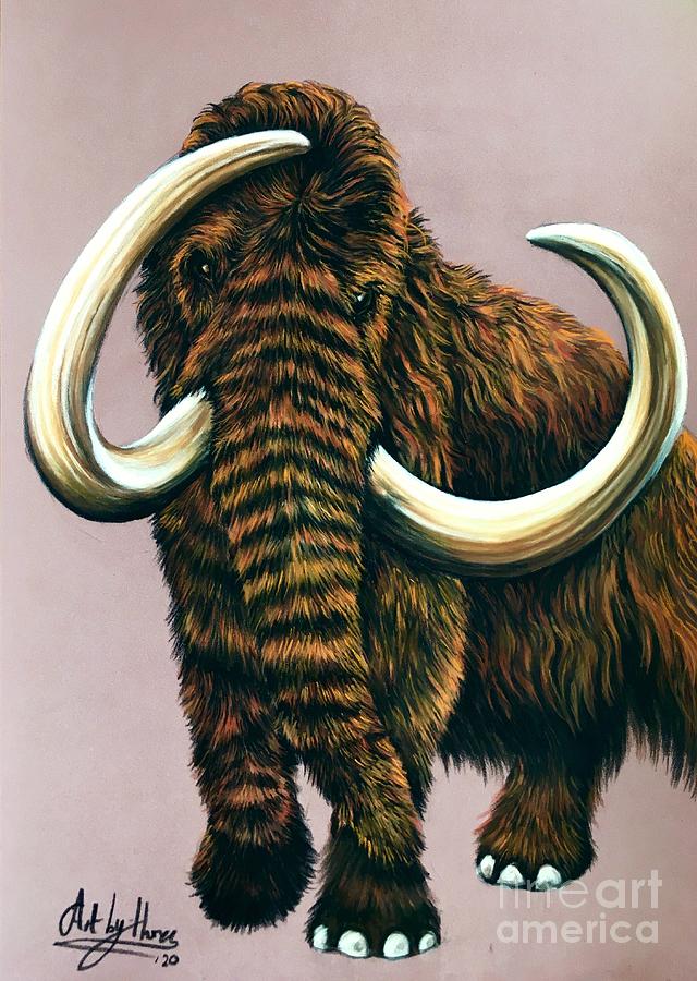 Woolly Mammoth Drawing by Art By Three Sarah Rebekah Rachel White