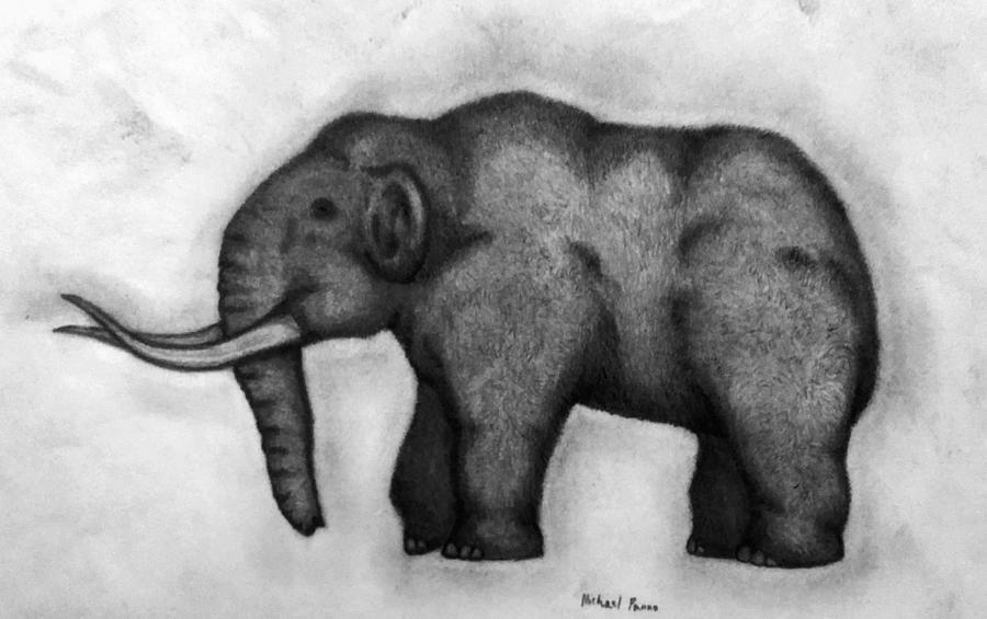 Woolly Mammoth Drawing