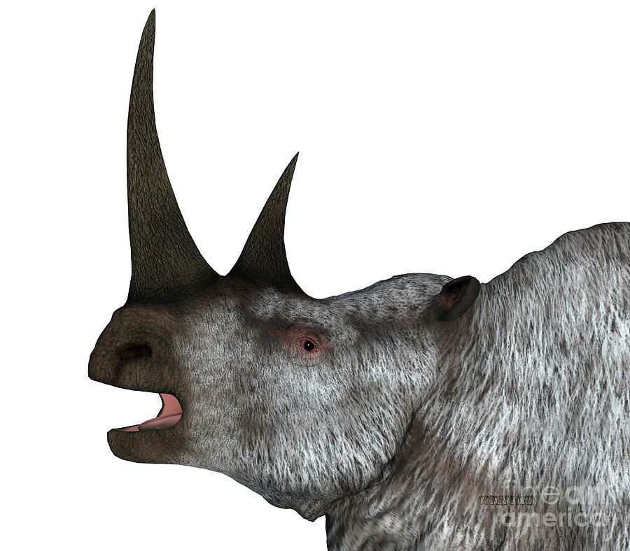 Woolly Rhino Head Digital Art by Corey Ford