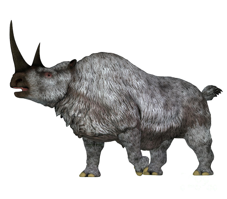 Woolly Rhino Side Profile Digital Art by Corey Ford