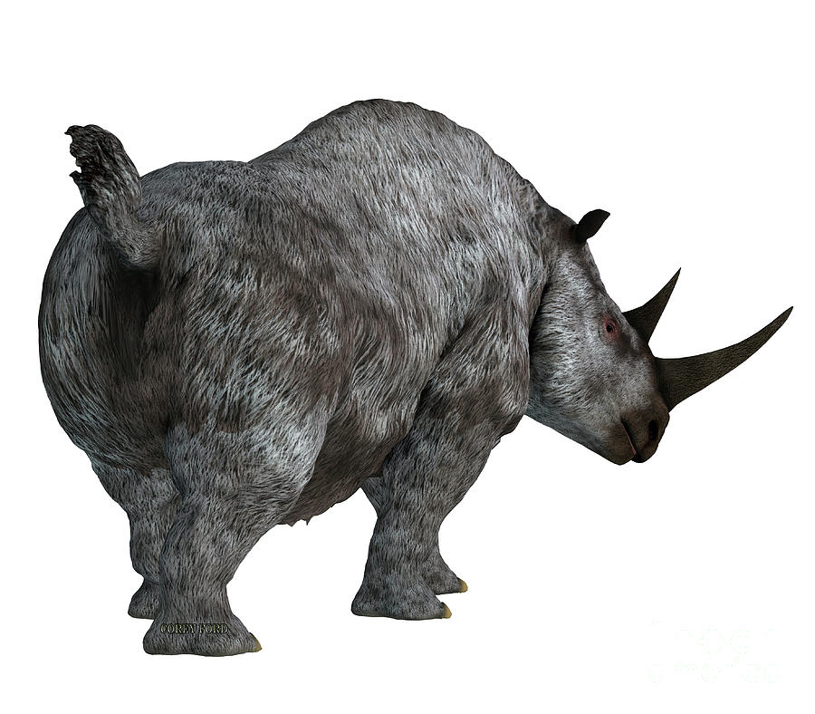 Woolly Rhino Tail Digital Art by Corey Ford