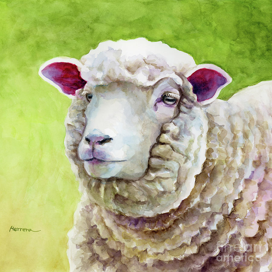 Woolly Sheep - Contemplation Painting