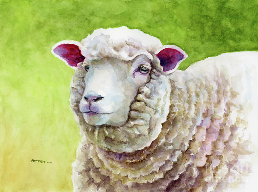 Woolly Sheep Painting
