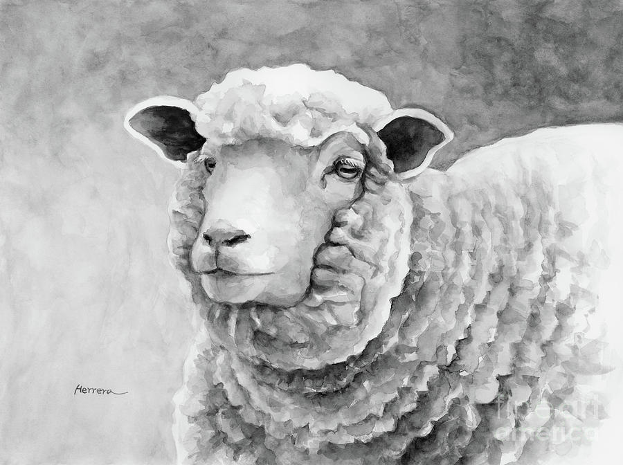 Woolly Sheep In Black And White Painting