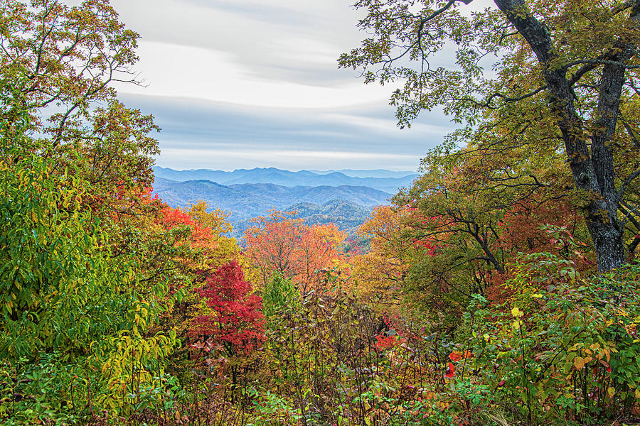 Wooly Back Overlook - Blue Ridge Parkway Photograph by Bob Decker