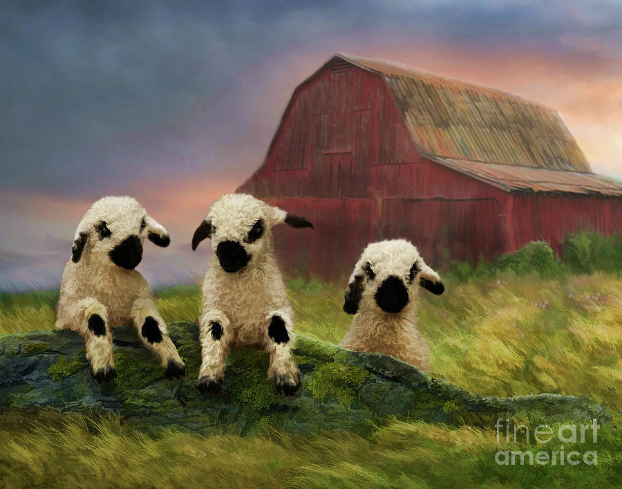 Wooly Crew Digital Art by Melinda Hughes-Berland Wooly Crew Digital Art by Melinda Hughes-Berland
