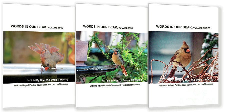Words In Our Beak Covers Photograph by Patricia Youngquist