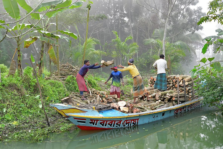 Workers Loading Logs in a Boat Photograph by Amazing Action Photo Video