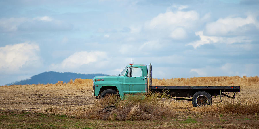Workhorse in Teal Photograph by Doug Davidson