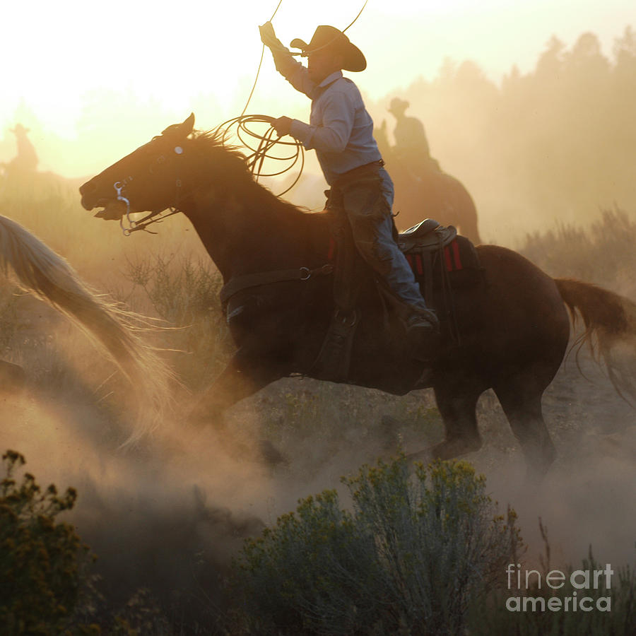 Working Cowboy Photograph by Jody Miller