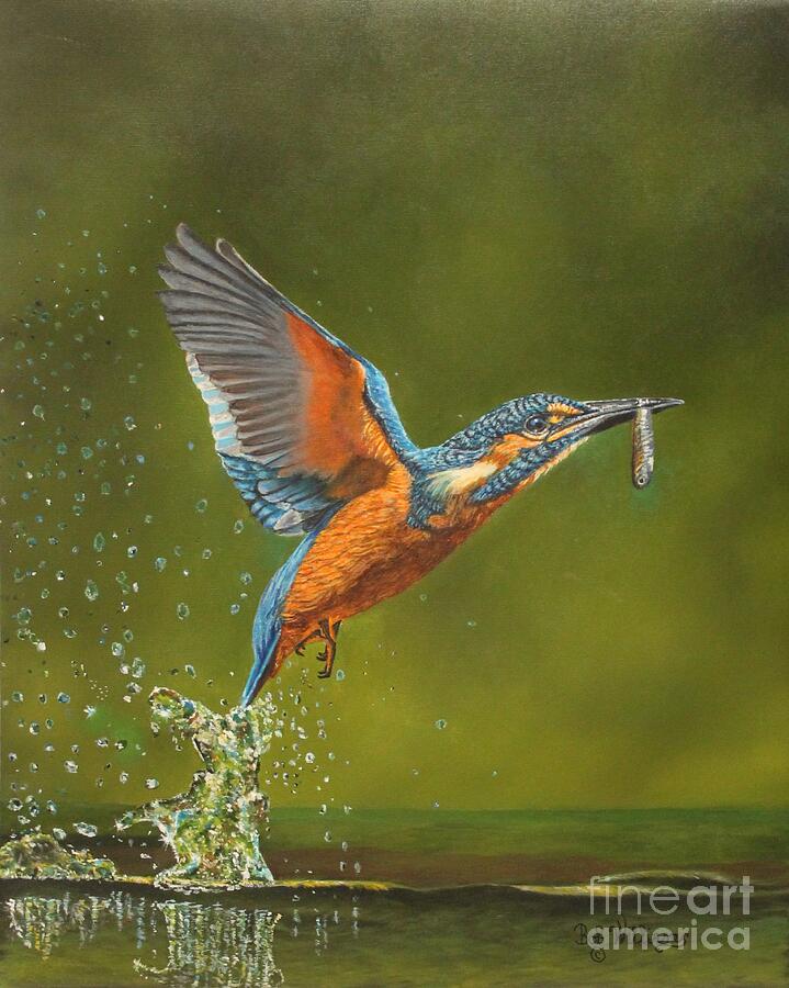 Kingfisher...Working hard for my supper Painting by Bob Williams