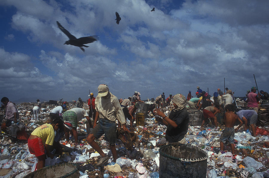 Working in a landfill Photograph by Brasil2