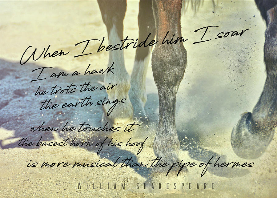 WORKING TEMPO quote Photograph by Dressage Design