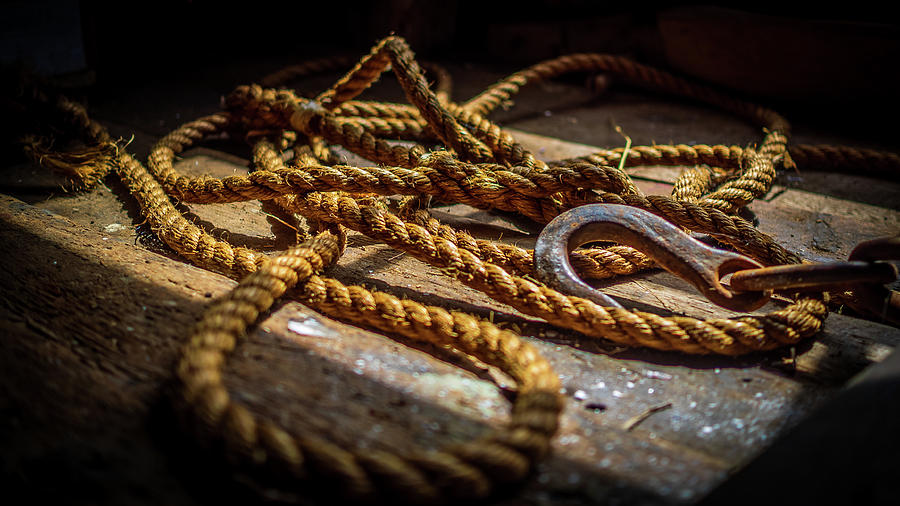 Workshop ropes Photograph by Mark Llewellyn