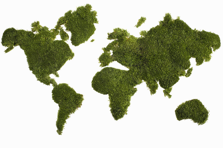 World Map Made Of Foliage Photograph by Stewart Sutton