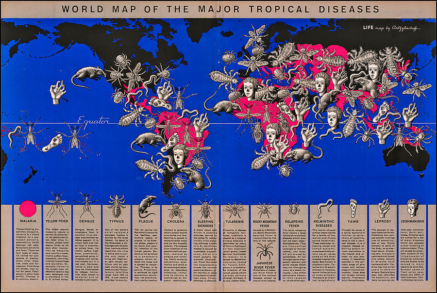 World Map of the Major Tropical Diseases 1944 Boris Artsybasheff Painting by MotionAge Designs