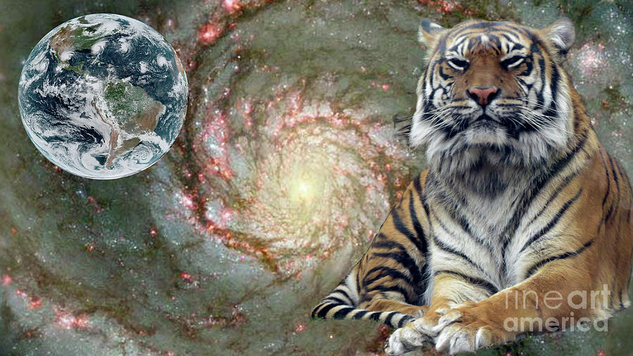World Tiger Digital Art by Mary Mikawoz