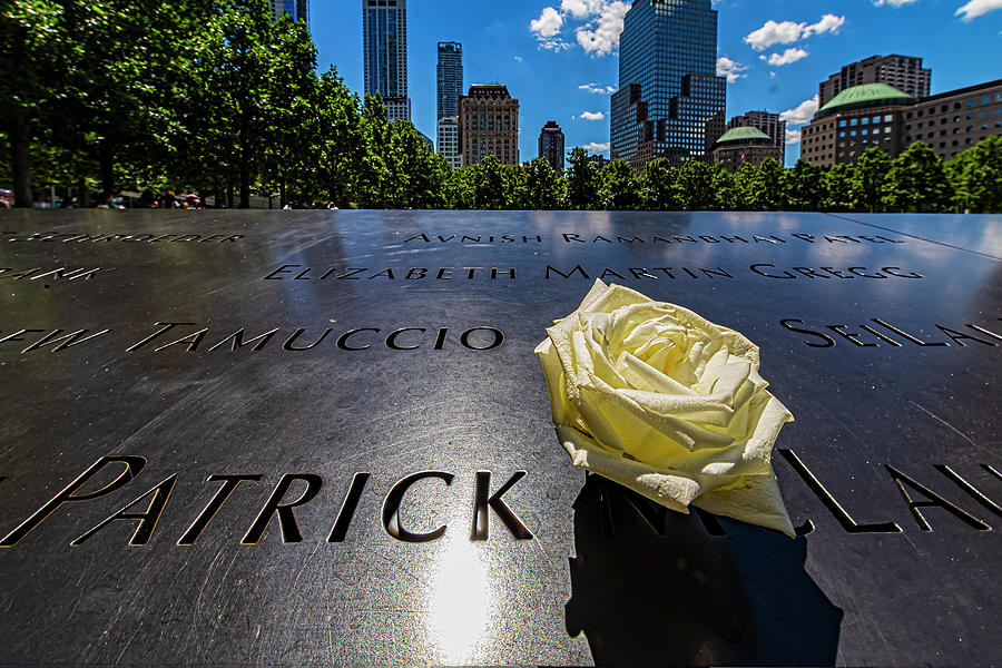 World Trade Center Memorial - Flower Photograph
