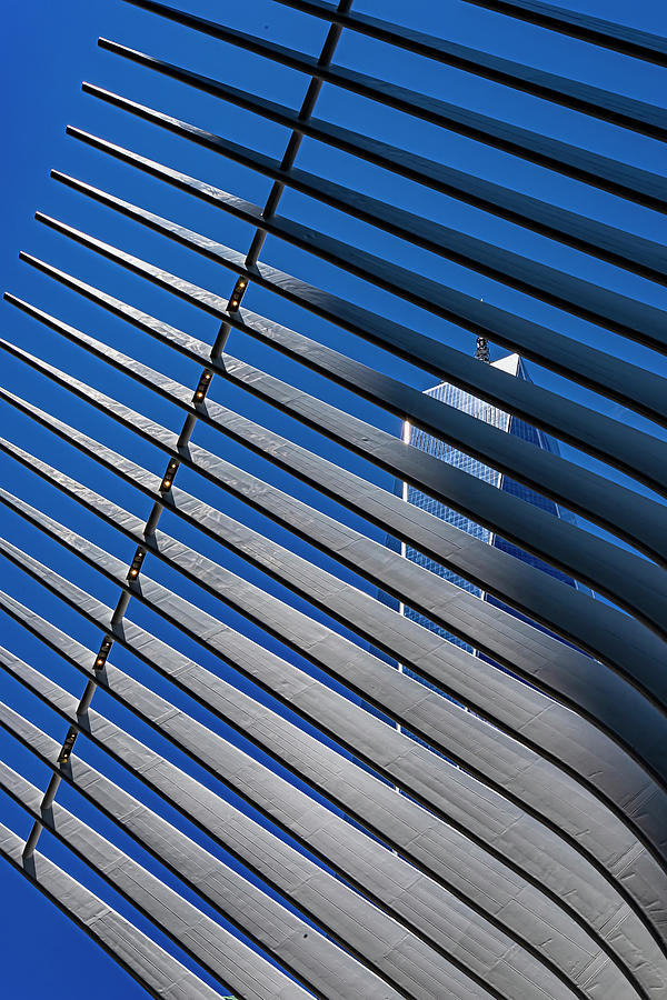 World Trade Center Seen Through Oculus Center Beams Photograph