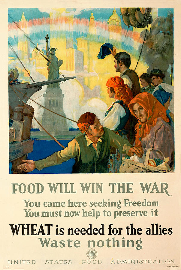 WA99 Vintage WW1 Waste Not Want Not Preserve Food War Poster WWI A1/A2/A3/A4 