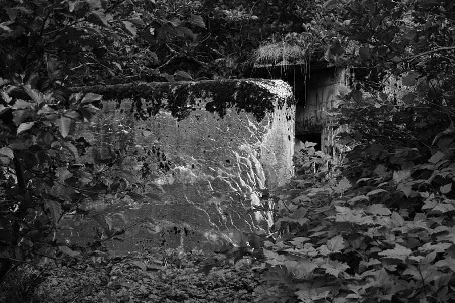 World War Two Bunker Photograph by Robert Braley - Pixels