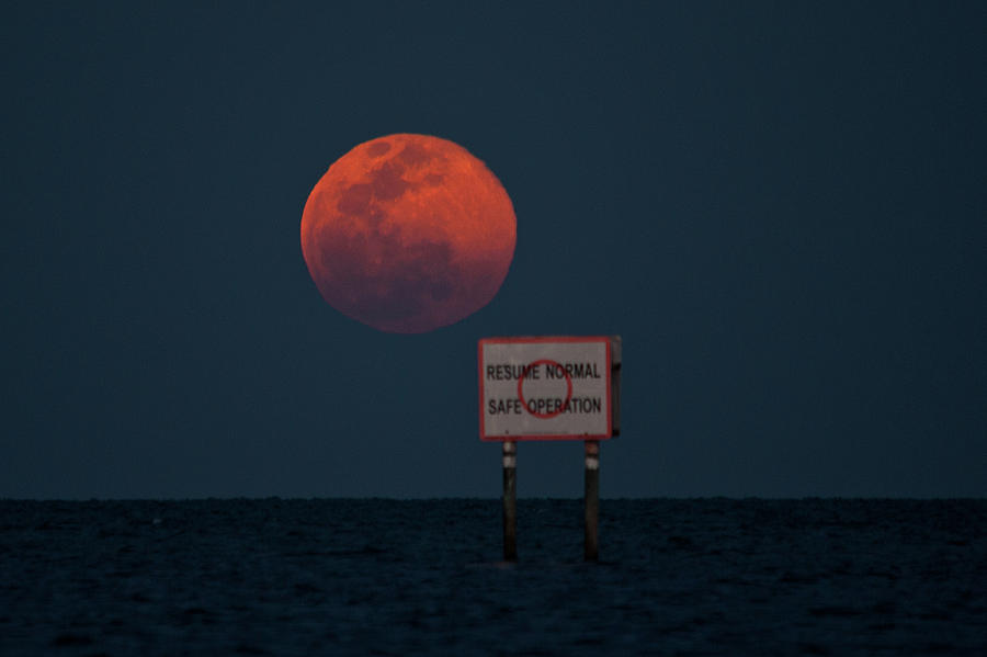 Worm Full moon Photograph by Edgar Estrada