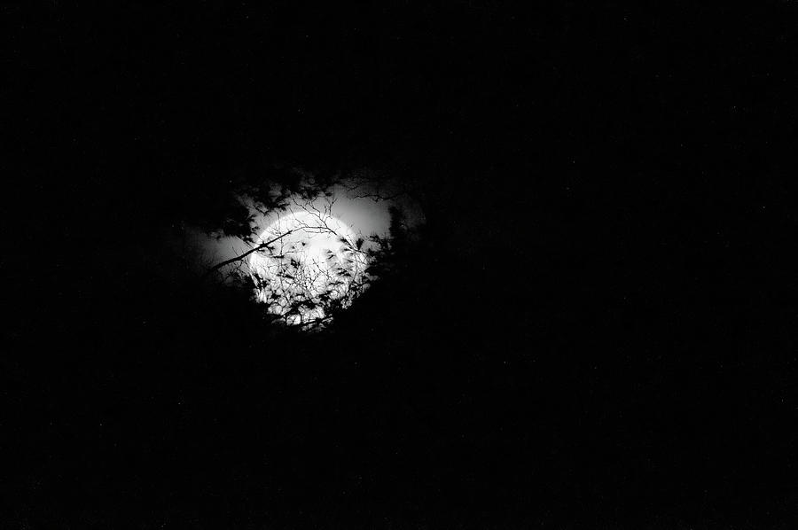 Worm Moon 2020 Photograph by Caroline Stella