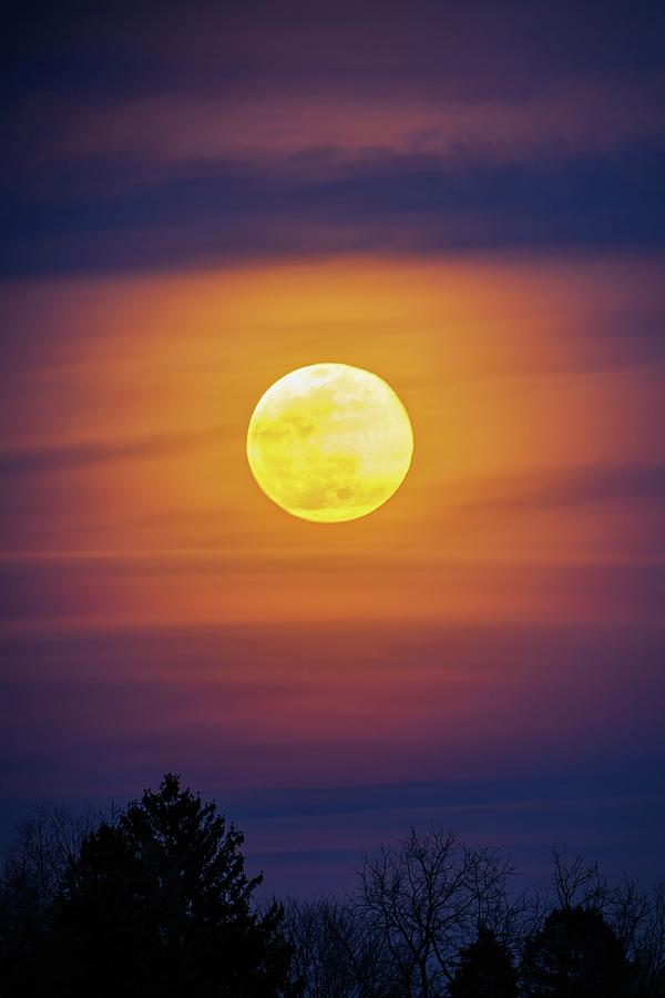 Worm Moon Over Allentown - Portrait Photograph by Jason Fink