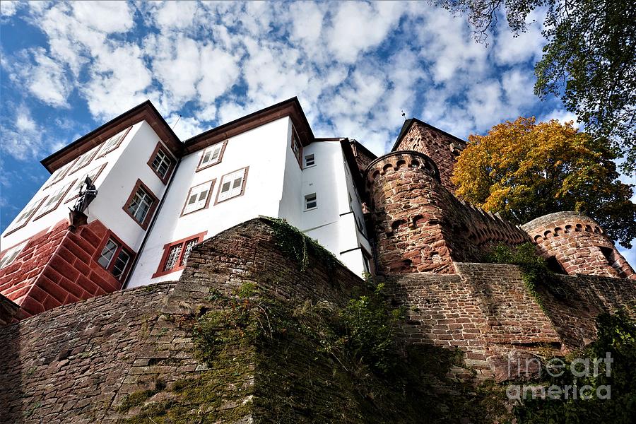 Worms Eye View On Zwingenberg Castle In Baden-wurttemberg Photograph