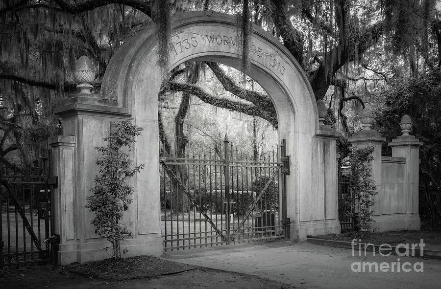 Architecture Photograph - Wormsloe Entrance by Inge Johnsson
