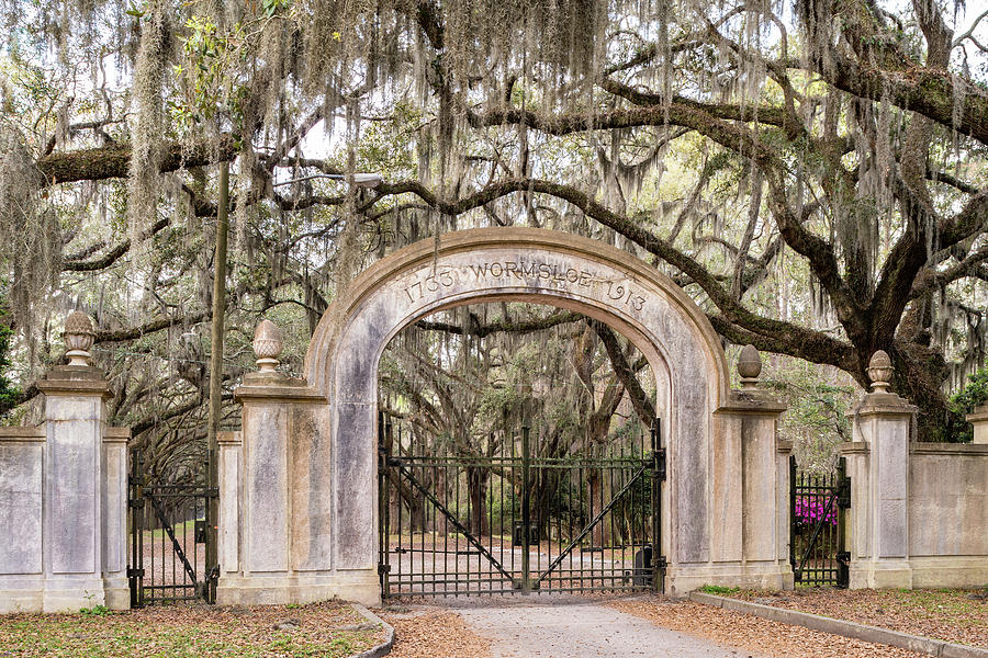 Wormsloe Plantation Gate, Savannah, Georgia Photograph by Dawna Moore Photography