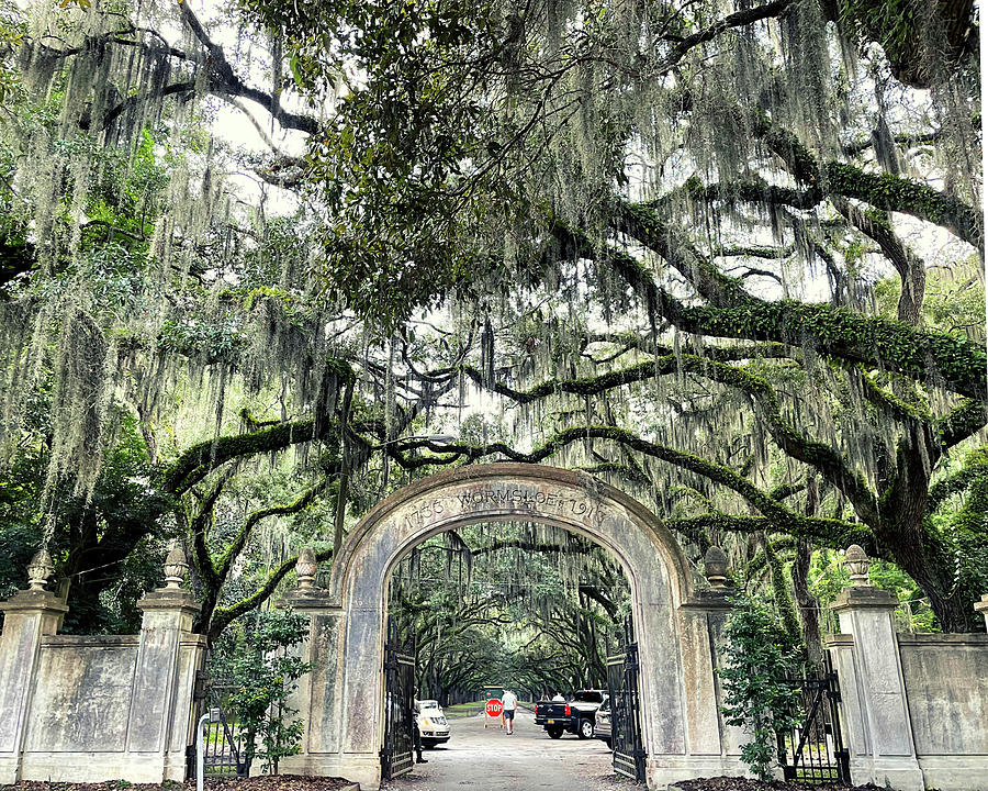 Wormsloe Plantation Photograph by Lee Darnell