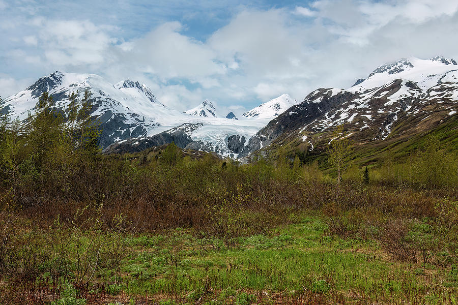 Worthington Glacier Photograph by Belinda Greb