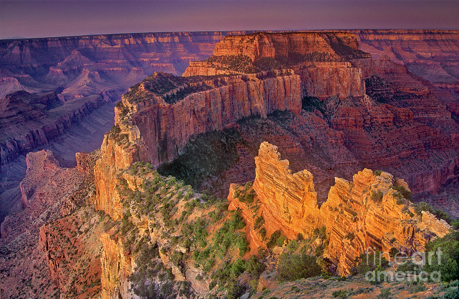 Wotans Throne Cape Royal Sunrise North Rim Grand Canyon National Park Arizona Photograph by Dave Welling
